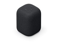 Sony LinkBuds SRS-LS1 Højttaler Sort