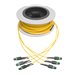 Eaton Tripp Lite Series MTP/MPO (APC) Singlemode Slim Trunk Cable, 24-Strand, 40/100 GbE, 40/100GBASE-PLR4, Plenum, 6mm Dual Jacket, 11 m (36 ft.)