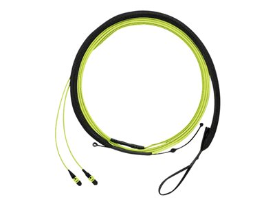 Panduit QuickNet - Trunk cable