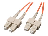 Eaton Tripp Lite Series Duplex Multimode 62.5/125 Fiber Patch Cable (SC/SC), 0.6M (2 ft.)