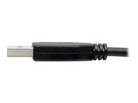 EATON TRIPPLITE USB-C to USB-A Cable M/M