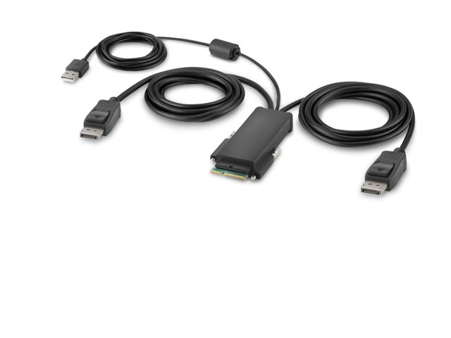 Image of Belkin Secure Modular DP Dual Head Host Cable - video / USB cable - TAA Compliant - 1.83 m