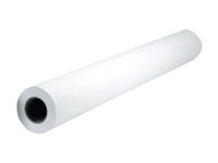 HP - backlit film - matte - 1 roll(s) - Roll (91.4 cm x 30.5 m) - 285 g/m²