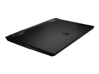 MSI Vector GP77 Gaming Laptop - 17.3 Inch - 32 GB RAM - 1 TB SSD - Intel Core i7 13700H - RTX 4070 - Core Black - 13VG-033CA