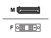 PNY - Carte d'écran - liaison simple - DisplayPort (M) pour DVI-D (F) 