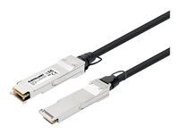 Intellinet Dobbelt-axial 2m 40GBase-kabel til direkte påsætning Sort