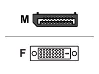 Fujitsu DisplayPort han -> DVI-D hun