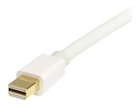 StarTech .com Câble adaptateur Mini DisplayPort vers DisplayPort 1.2 1m