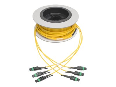 Eaton Tripp Lite Series MTP/MPO (APC) Singlemode Slim Trunk Cable, 24-Strand, 40/100 GbE, 40/100GBASE-PLR4, Plenum, 6mm Dual Jacket, 15 m (49 ft.)