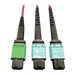 Eaton Tripp Lite Series 400G Multimode 50/125 OM4 Plenum Fiber Optic Cable, 16F MTP/MPO-APC to (x2) 12F MTP/MPO-UPC (F/F), Magenta, 5 m