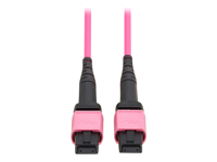 Eaton Tripp Lite Series 100G Multimode 50/125 OM4 Fiber Optic Cable (12F MTP/MPO-PC F/F), OFNP, Magenta, 5 m (16.4 ft.), TAA