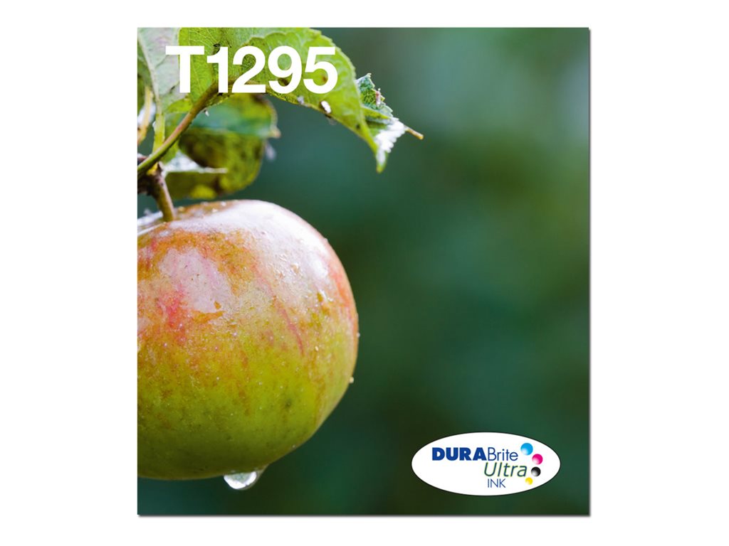 EPSON 2LB T129 EasyMail multipack Inkt