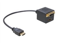 DeLOCK Videoadapter HDMI / DVI 20cm