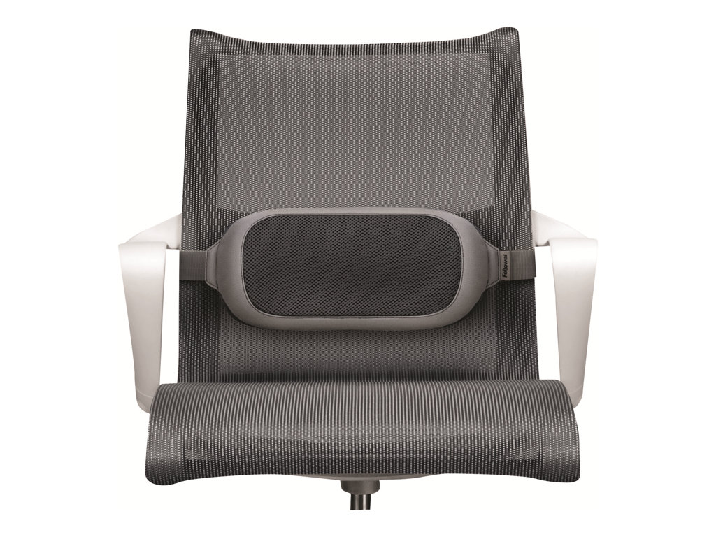 FELLOWES i-spire coussin lombaire