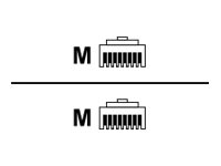 Black Box - Patch cable