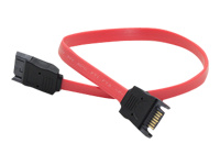 AddOn - Câble SATA - SATA (M) pour SATA (M) - 30.48 cm 