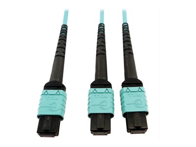 Eaton Tripp Lite Series 400G Multimode 50/125 OM4 Plenum Fiber Optic Cable, 24F MTP/MPO-PC to (x2) 12F MTP/MPO-PC (F/F), Aqua, 5 m