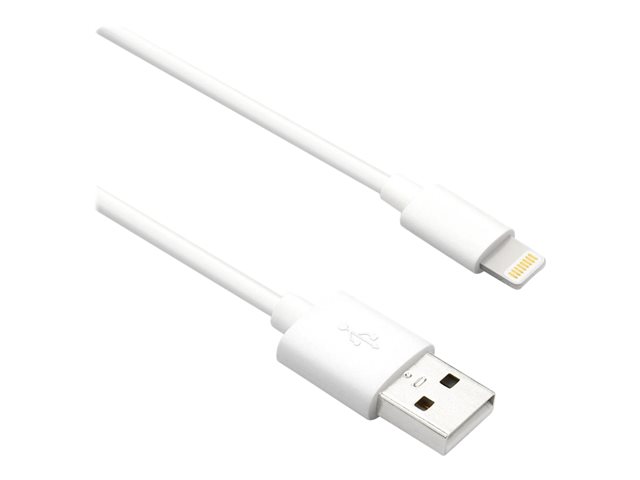 Axiom - Lightning cable - USB male to Lightning male - 91.4 cm 