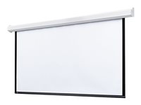 Draper Targa 16:10 Format Projection screen ceiling mountable, wall mountable motorized 