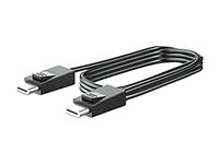 HP 300cm DP+USB B-A CABLES