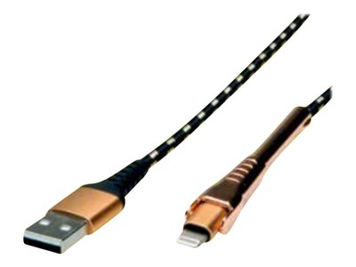 ROLINE GOLD USB 2.0 Sync- & Ladekabel 1m