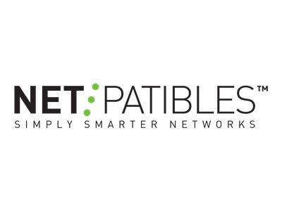 NetPatibles DDR4 module 32 GB DIMM 288-pin 2933 MHz / PC4-23466 1.2 V unbuffered 