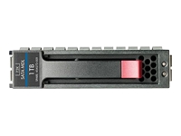 Hewlett Packard Enterprise  Disque SSD/serveur 454146-B21