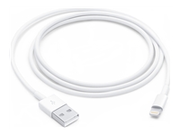 Apple - Câble Lightning - Lightning mâle pour USB mâle - 1 m