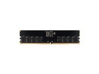 VisionTek - DDR5 - module - 16 Go 
