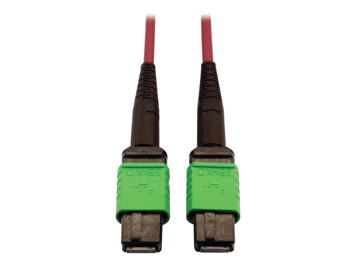 Eaton Tripp Lite Series 400G Multimode 50/125 OM4 Plenum-Rated Fiber Optic Cable, 16F MTP/MPO-APC (F/F), Magenta, 5 m