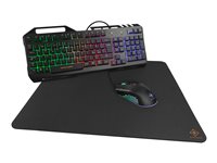 DELTACO GAMING GAM-113 Tastatur, mus og musepudesæt Membran RGB-regnbue Kabling