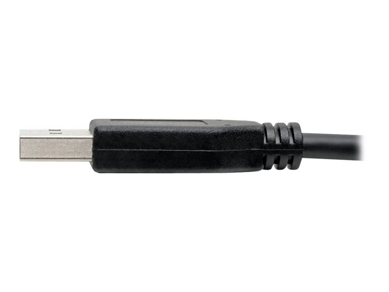 EATON TRIPPLITE USB-C to USB-A Cable M/M