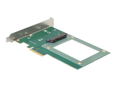 DELOCK PCI Express x4 Karte zu 1 x intern U.2 NVMe SFF-8639 PCI Express Karten