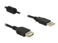DELOCK Kabel USB 2.0 A > USB 2.0 A 0,5m