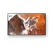 Sony Bravia Professional Displays FW-65BZ30P