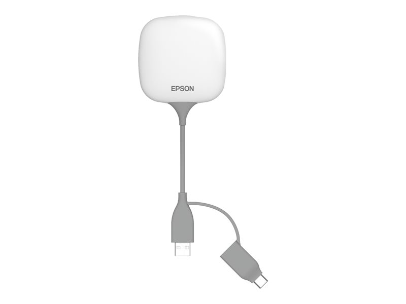 EPSON ELPWP20 Wireless Presentation Sys
