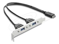 Delock USB 2.0 USB-kabel Sort