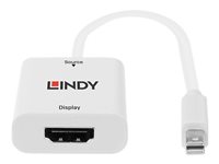 Convertisseur Actif Mini DisplayPort 1.2 vers HDMI 18G