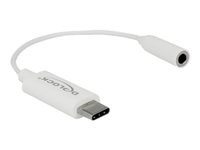 DeLOCK USB 2.0 Lyd adapter 14cm Hvid