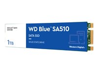 WD Blue SA510 WDS100T3B0B - SSD - 1 TB - SATA 6Gb/s