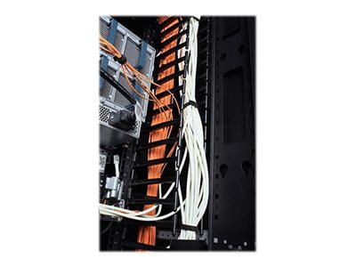 APC Vertical Cable Manager for NetShelte - AR7588