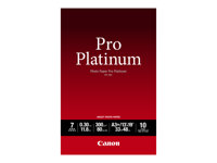 Photo Paper Pro Platinum - photo paper - 10 sheet(