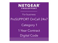 NETGEAR ProSupport OnCall 24x7 Category 1 - Technical support - phone consulting - 1 year - 24x7 - for ReadyNAS 102; 104