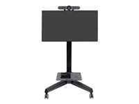 Ergotron Neo-Flex Mobile MediaCenter VHD
