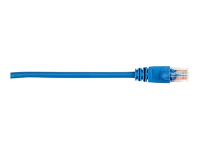 Black Box - Patch cable