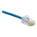 Leviton