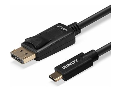 LINDY 10m USB Typ C an DisplayPort Adapt, LINDY 43307 43307 (BILD3)