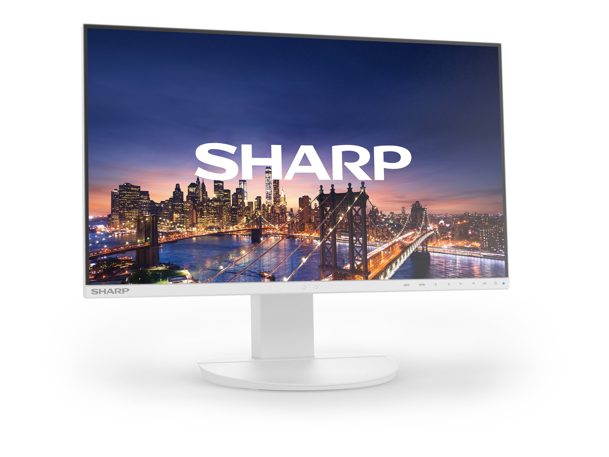 Sharp MultiSync EA272F