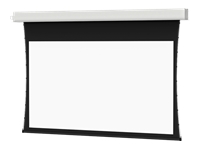 Da-Lite Tensioned Advantage Series Projection Screen - Ceiling-Recessed with Plenum Rated Case and Trim - 164