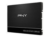 PNY CS900 SSD7CS900-250-RB